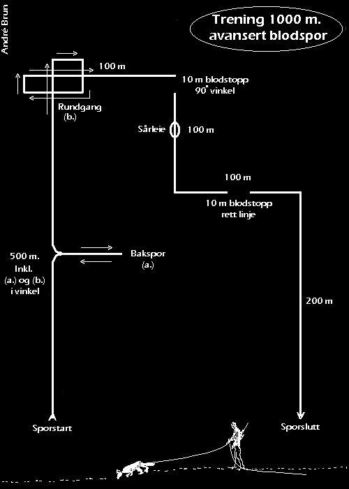ADVspor.gif (7196 bytes)
