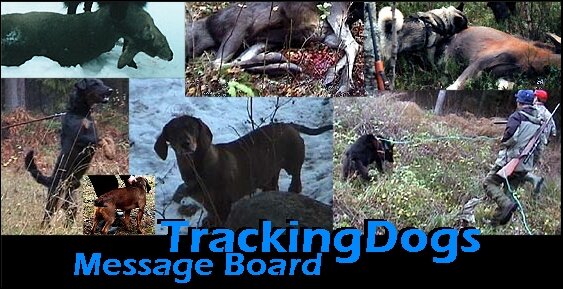TrackingDogs Message Board